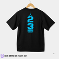 Blue Brand of Flight 207