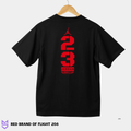 Red Brand of Flight 208