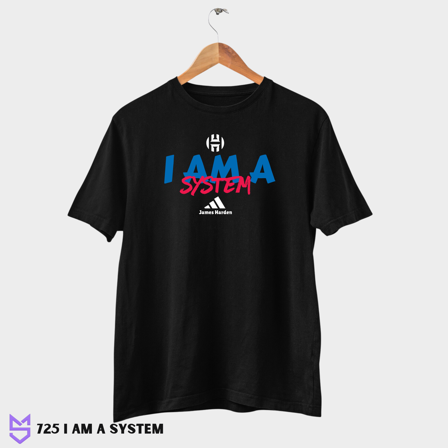 725 I am a System