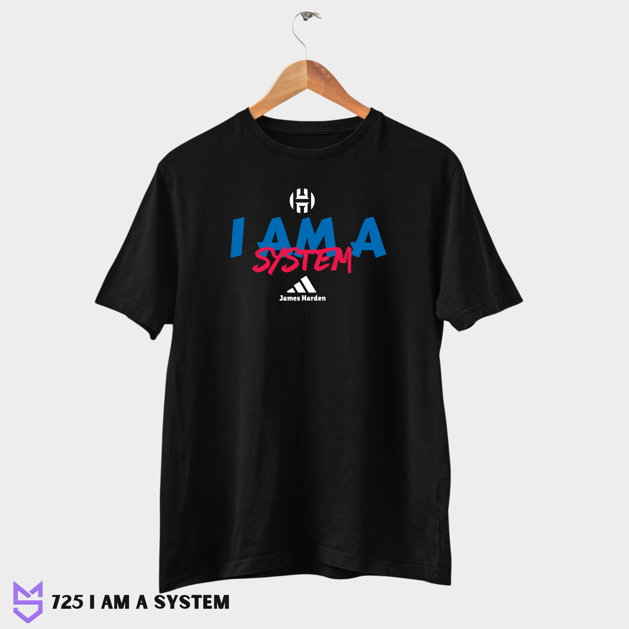 725 I am a System