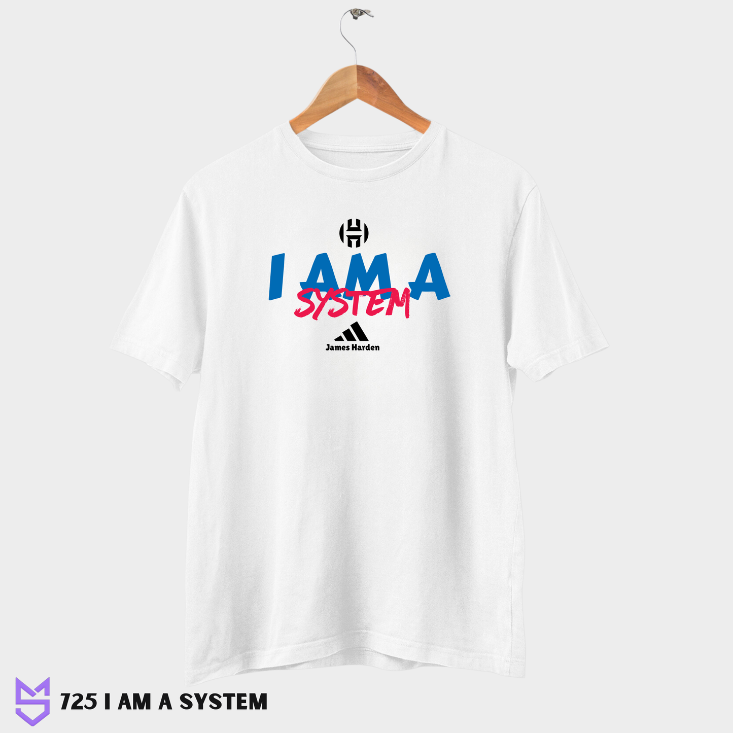 725 I am a System